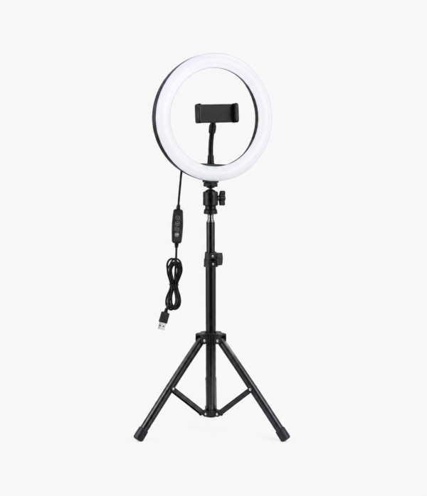 386f7809-a002-4469-8e30-262bd9bcd707 Fill Light RL